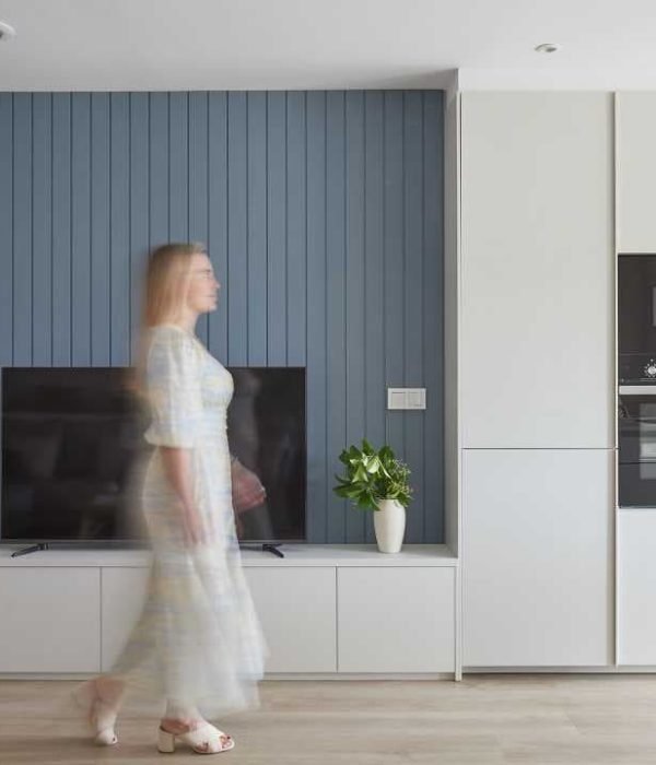 proyecto-interiorismo-salberdin-amaistudio-salon-mueble-tv