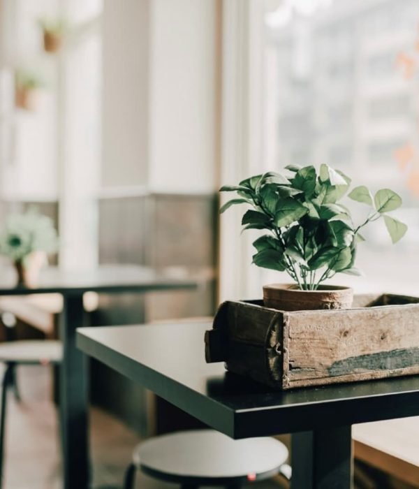 reforma-integral-bar-iurre-tolosa02