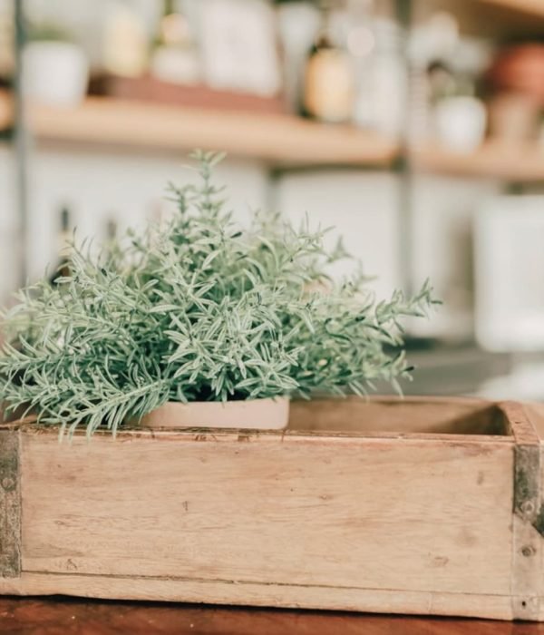 reforma-integral-bar-iurre-tolosa11