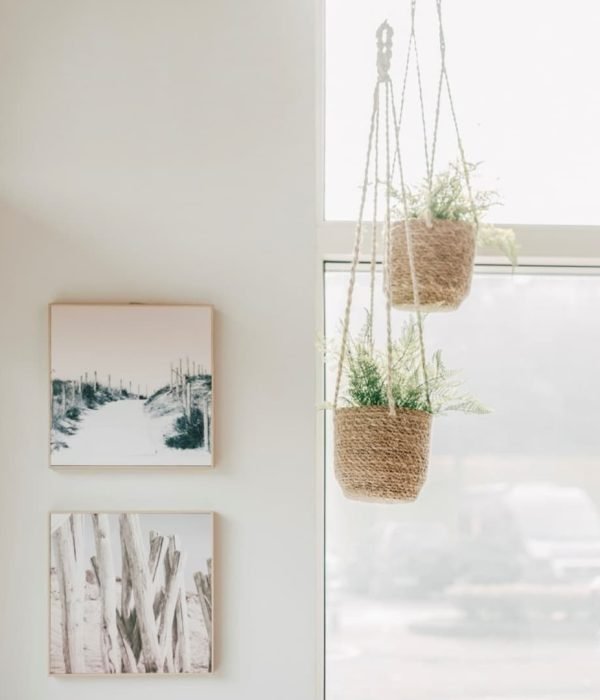 reforma-integral-bar-iurre-tolosa14