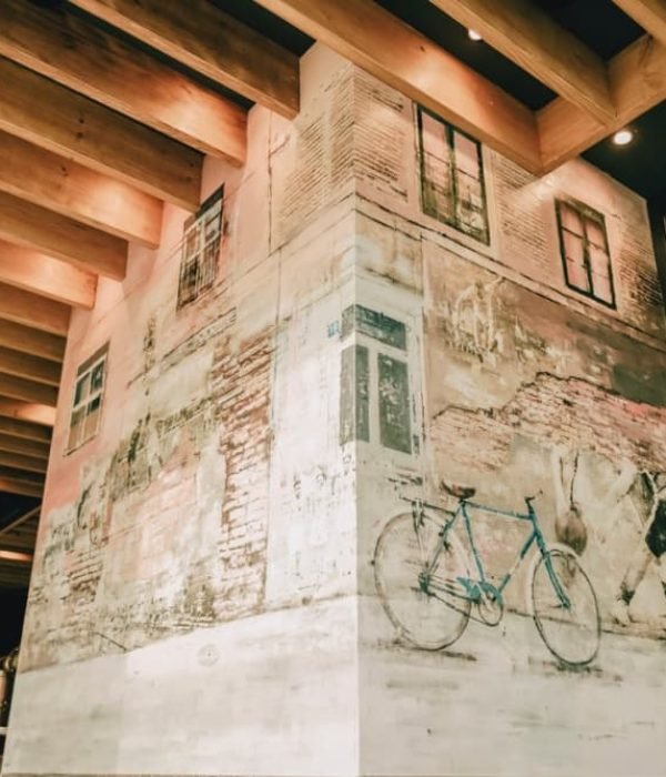 reforma-integral-bar-iurre-tolosa15