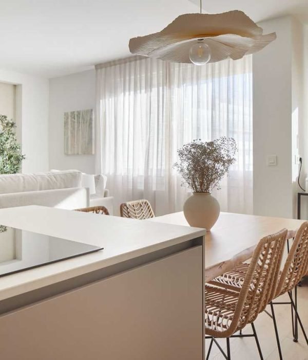 reforma-integral-paseo-francia-cocina-comedor