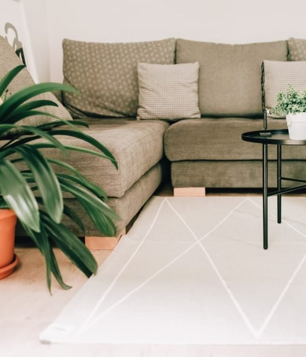 reforma-vivienda-casco-antiguo-tolosa-diseño-salon