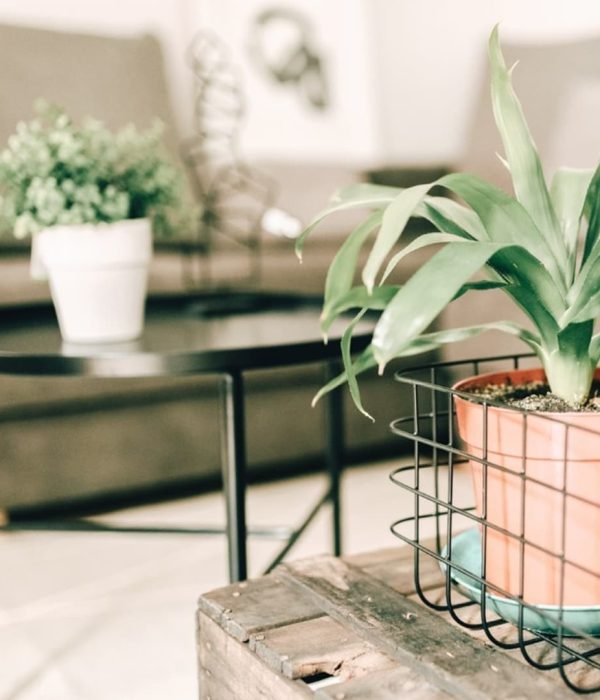 reforma-vivienda-casco-antiguo-tolosa-plantas-salon